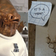 Illustration for article titled How Many Times Do You Have to Watch Star Wars to Know When a Water Stain Looks Like Admiral Ackbar?
